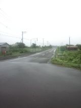 39882-5.jpg