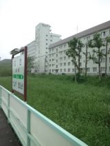 39902-1.jpg