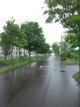 39902-5.jpg