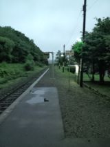 39914-8.jpg