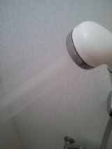 39921.jpg