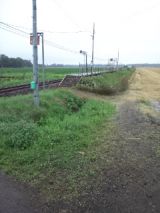39948-3.jpg