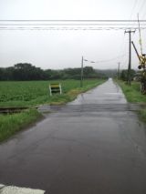 39948-4.jpg