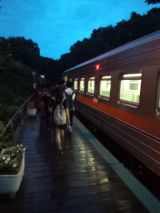 39958-6.jpg