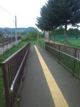 39998-2.jpg