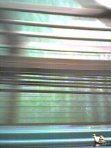 041107_1021~001.jpg
