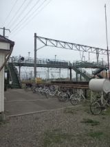 40025-5.jpg