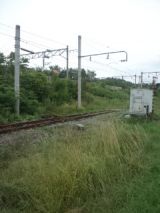 40028-8.jpg