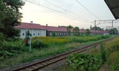 40038-5.jpg