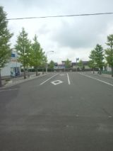 40081-6.jpg