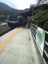 40091.jpg