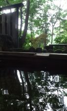 40103-1.jpg