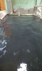 40117-4.jpg