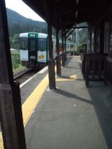 40119.jpg