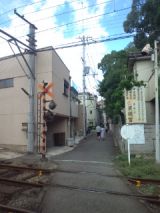 40149-2.jpg