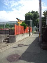 40161-2.jpg