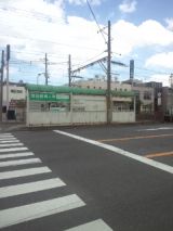 40164.jpg
