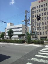 40167-5.jpg