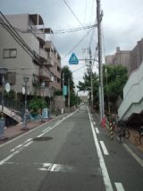 40175-6.jpg