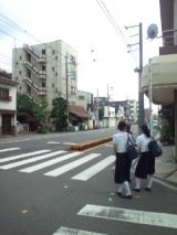 40176.jpg