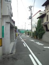 40178-3.jpg