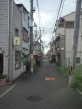 40180-4.jpg