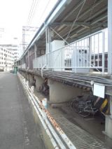 40184.jpg