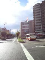 40189-4.jpg