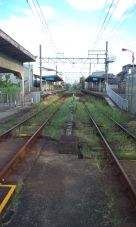 40191-2.jpg