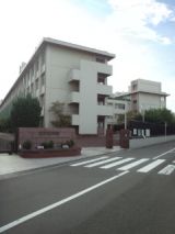 40193-7.jpg