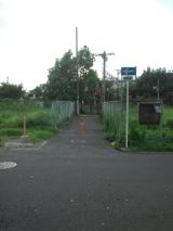 40195.jpg