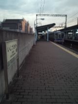 40203.jpg