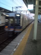 40205.jpg