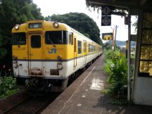 40249.jpg