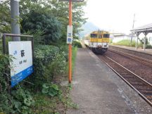 40254.jpg