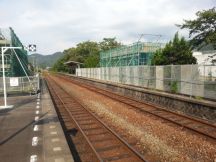 40255-5.jpg