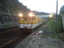 40263.jpg