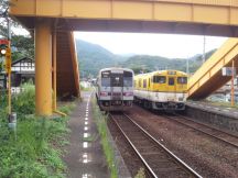 40275.jpg