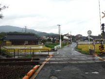 40284-5.jpg