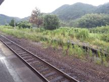 40288-1.jpg
