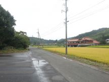 40291-2.jpg
