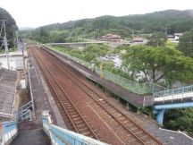 40293-2.jpg