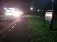 40302-5.jpg
