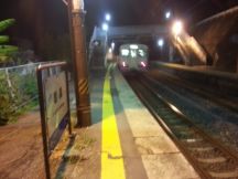 40310.jpg