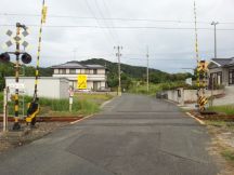 40317-5.jpg