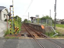 40317-6.jpg