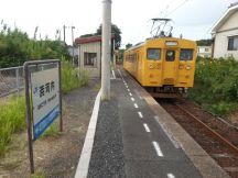 40317.jpg