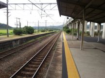 40321-1.jpg