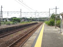 40323-1.jpg