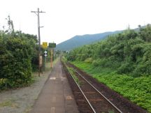 40333-1.jpg